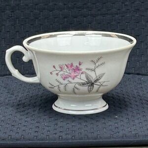 Karolina Poland China Teacup Pink Floral Silver Trim Vintage Porcelain 3879 3